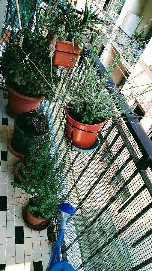 La Tua Casa In Centro Imperia Apartment